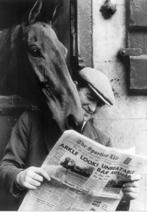 Arkle-the-famous-race-horse