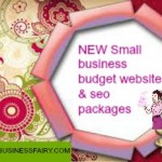 small business budget websites and SEO packages