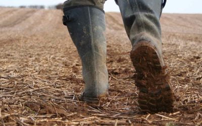 Bootbox Innovation at the Ploughing