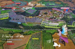 electric picnic 2017 map BY tHE small business fairy