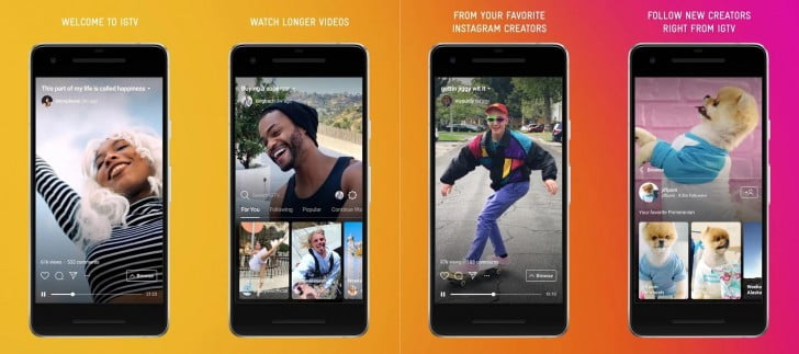 instagram tv launched the business fairy digital marketing agency