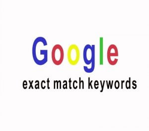 Google exact match keywords The Business Fairy Digital marketing Agency