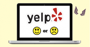 Yelp Social Media For Your Business, Which Ones Should You Use the business fairy digital marketing agency